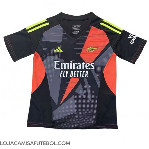 Camisa de Futebol Arsenal Goleiro Equipamento Alternativo 2024-25 Manga Curta